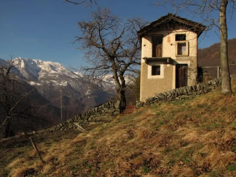 Casa del Violino, Scogna Sottana (SP)